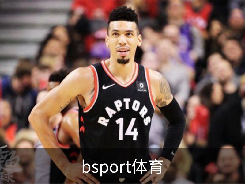 关于bsport体育